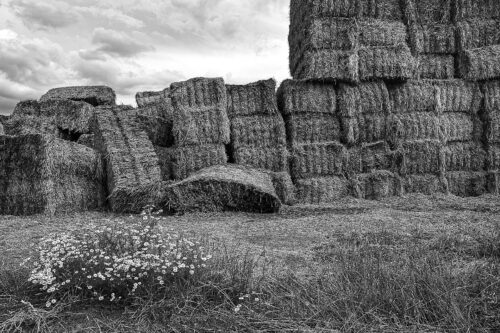 Château de paille (3)
