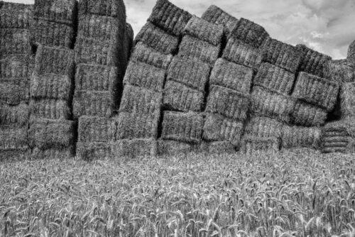 Château de paille (4)