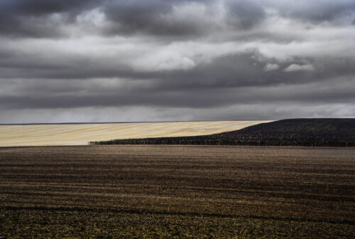 Moisson graphique (1)