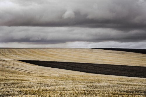 Moisson graphique (2)