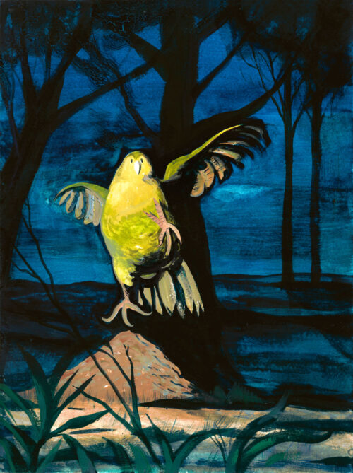 Dans la forêt obscure 1