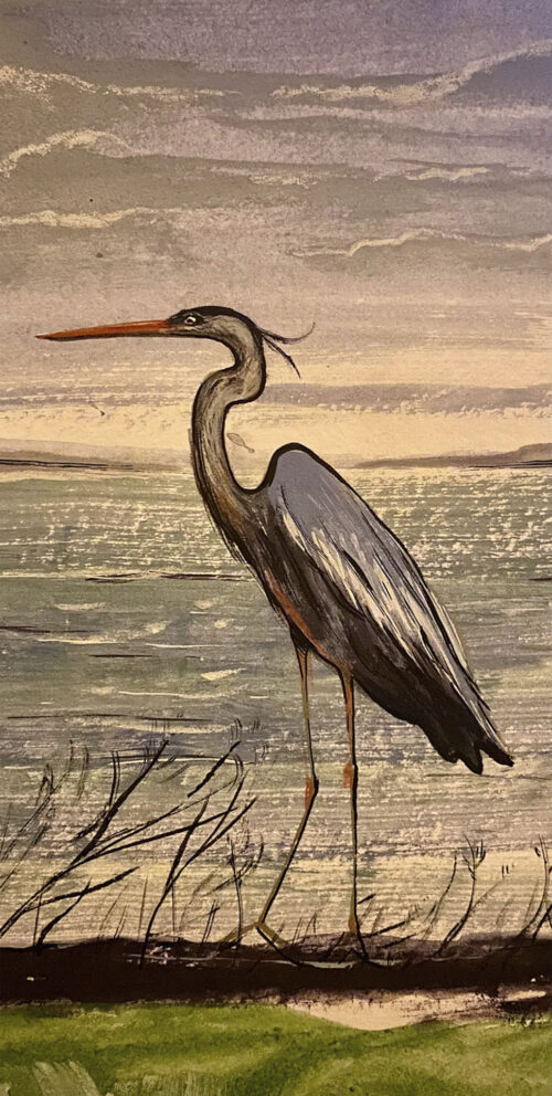 Echassier au bord de l'eau