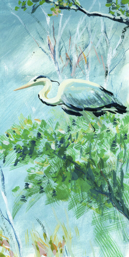 Héron dans l'arbre 1