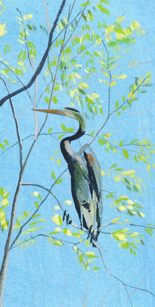 Héron dans l'arbre 2