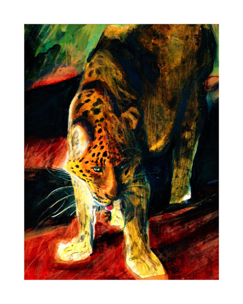 Panthère dans la fin d'après midi