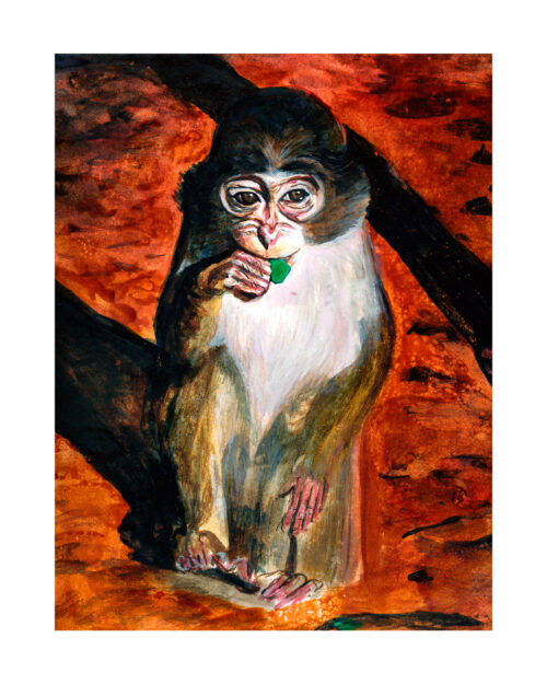 Petit singe qui mange une feuille