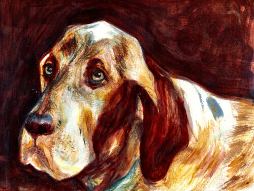 Portrait du chien Tarkus