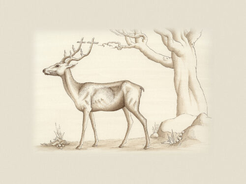 La rencontre de Hrolfr et du cerf