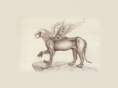 Le Griffon