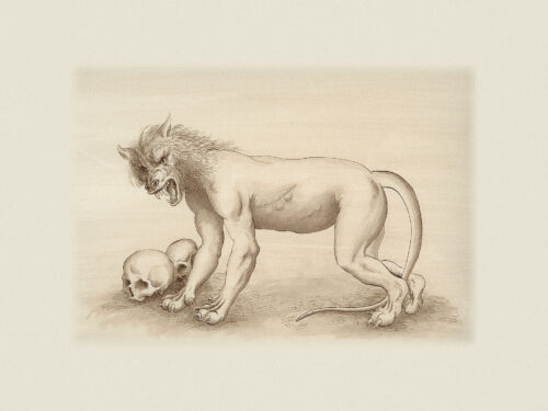 L’assaut de la grotte-château du loup