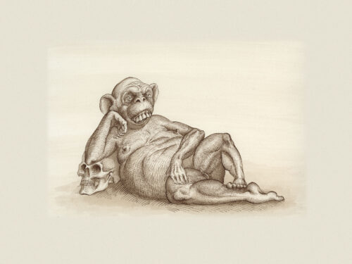 La mère singe et le chasseur