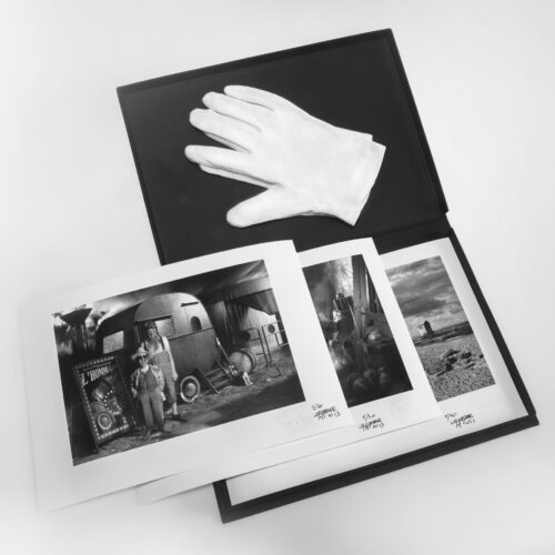 Les jumeaux falsifiés