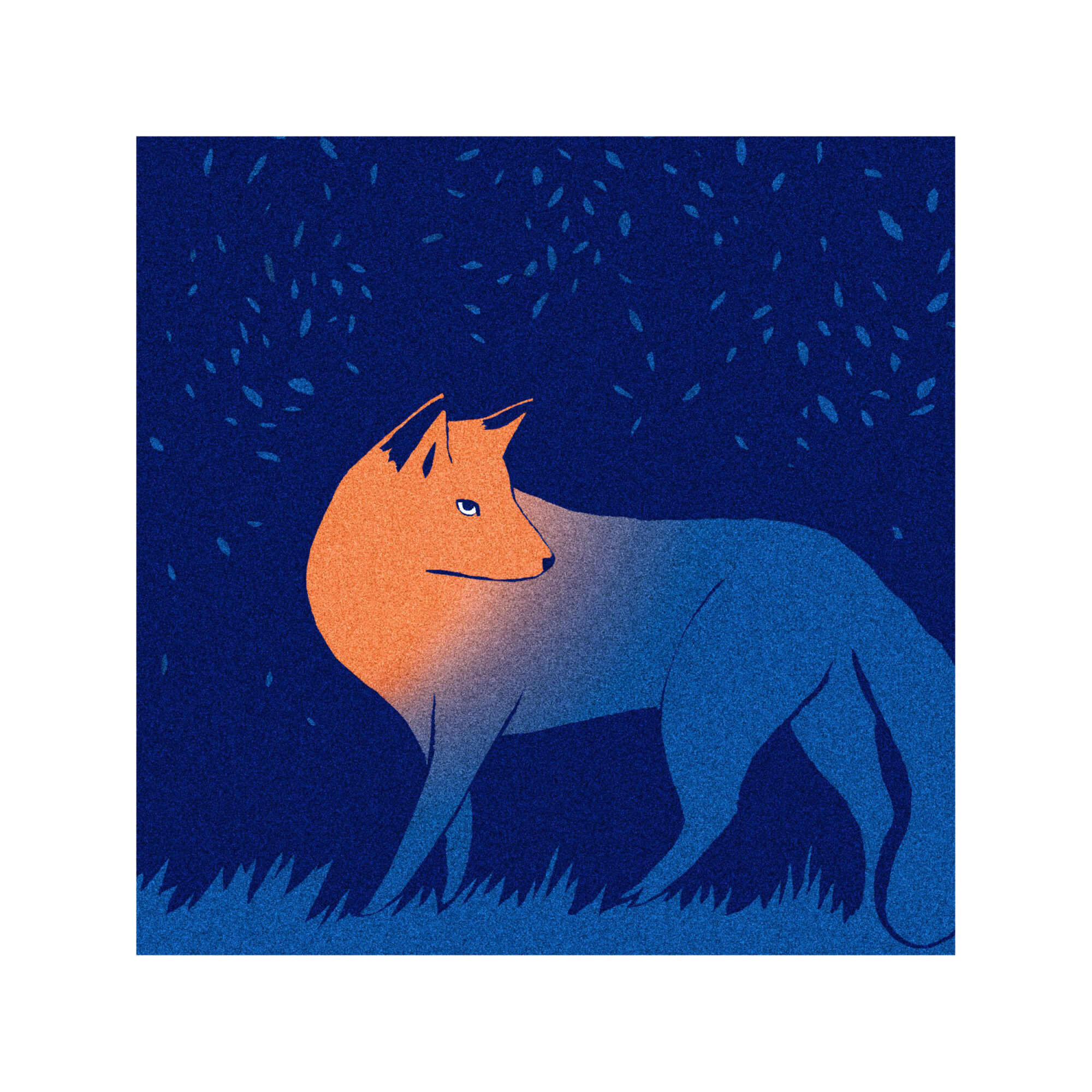 Voyage vers les étoiles 41