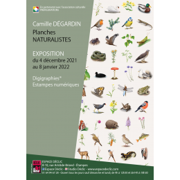 expo-planches-naturalistes-de-camille-degardin