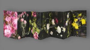 Lepporello Sophie Moreau