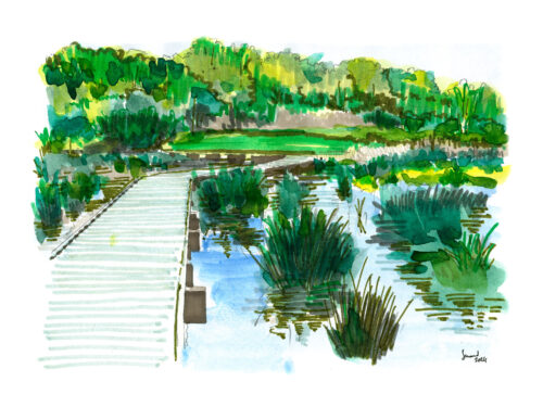 LIEUSAINT Bassins de la motte 1