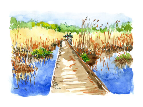 LIEUSAINT Bassins de la motte 2