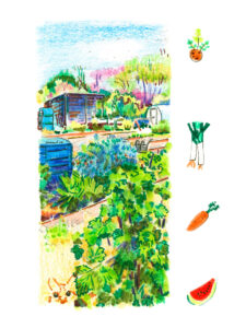 LIEUSAINT Jardins familiaux