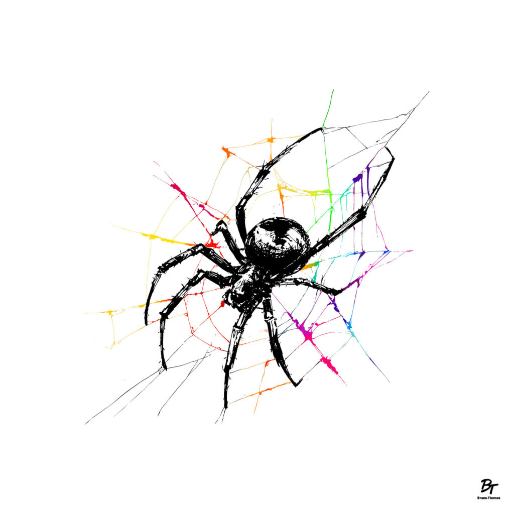 Spider Bruno Thomas