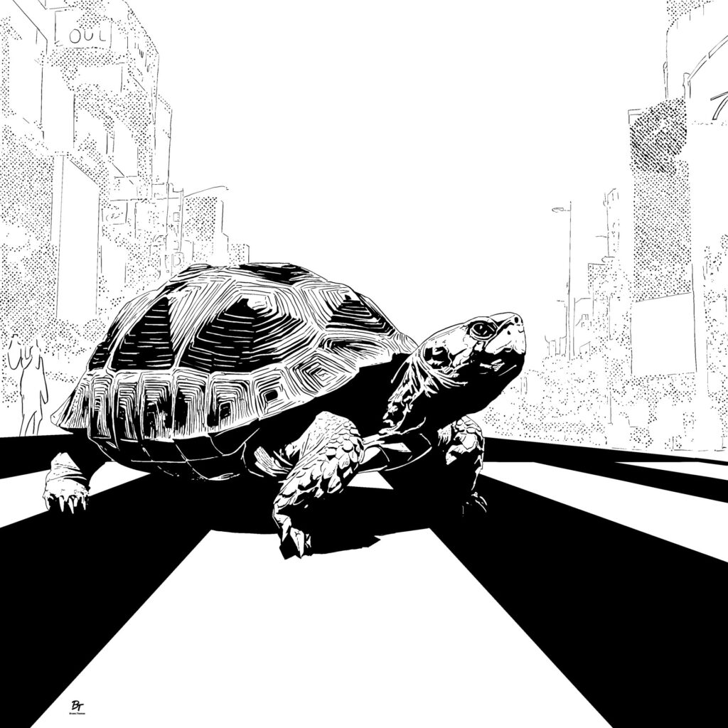 Tortue Bruno Thomas