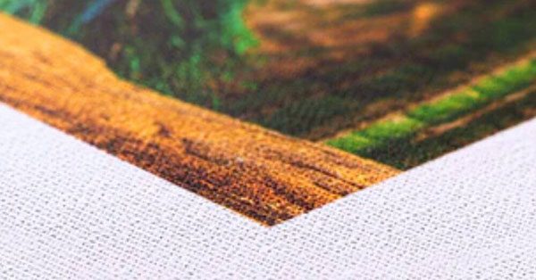 EPSON CANVAS EPSON CANVAS